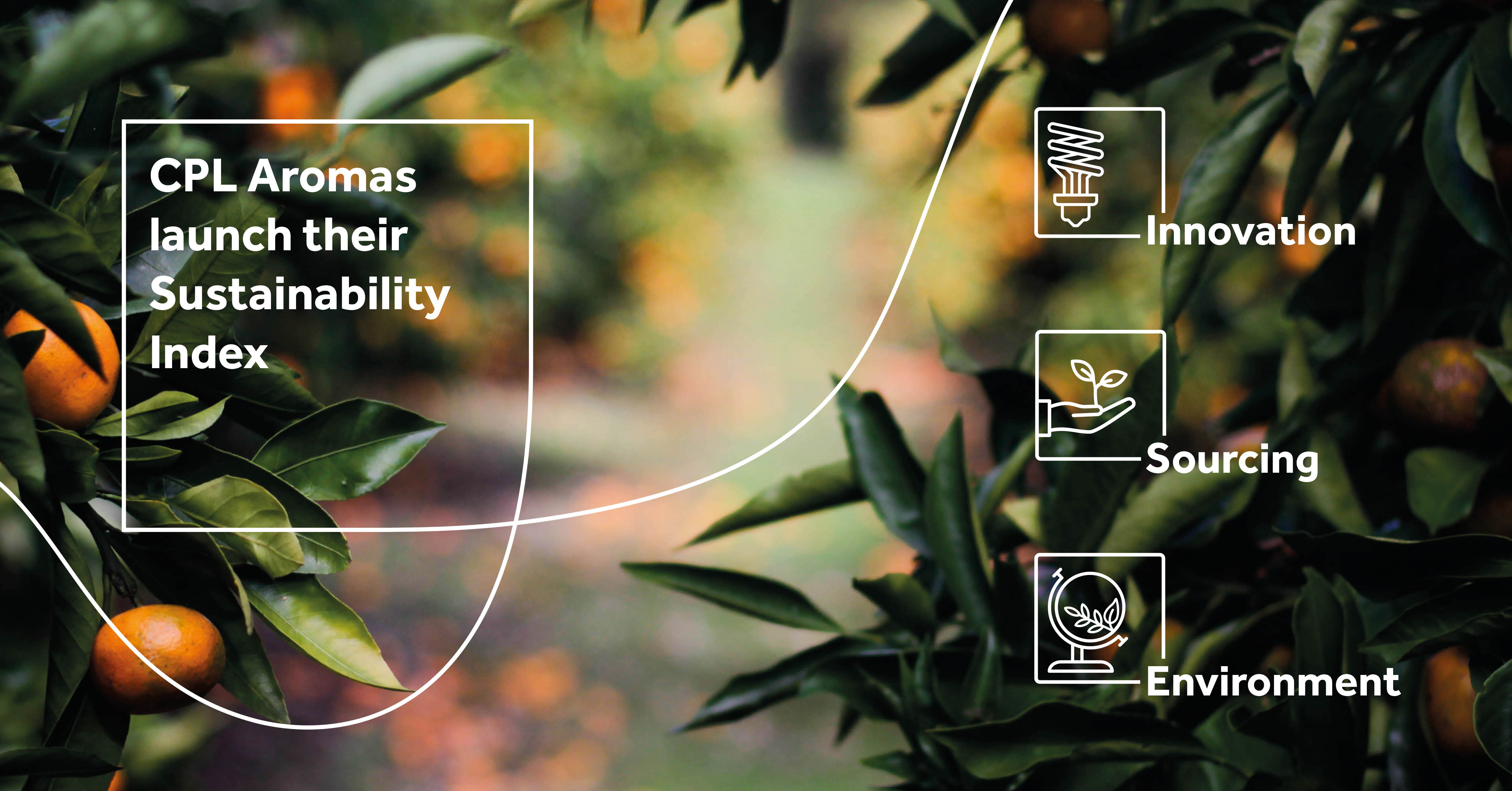 Rub Maps And Sustainability: Exploring Fragrances With A Conscience